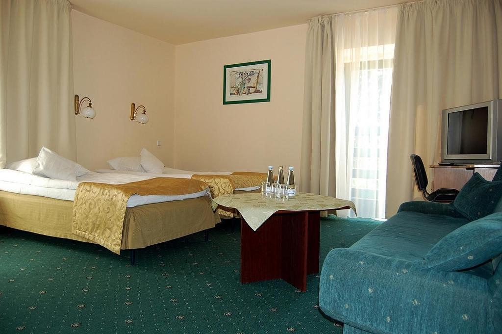 Hotel Dorrian 포즈난 객실 사진